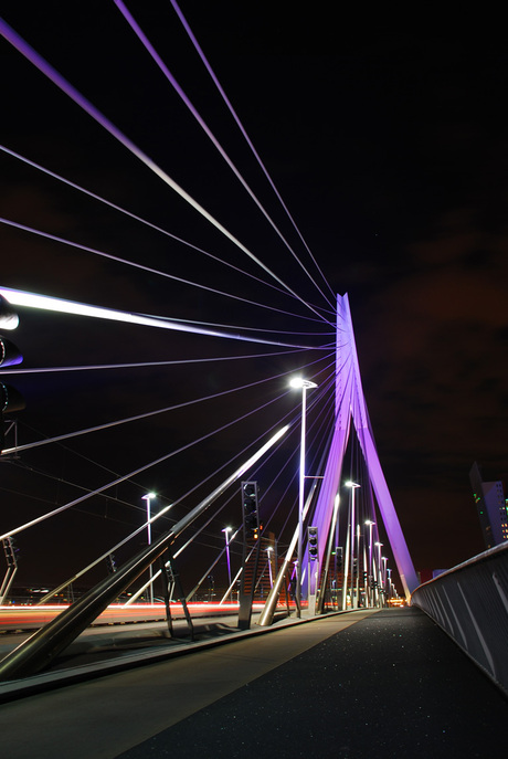 Erasmusbrug Rotterdam by night