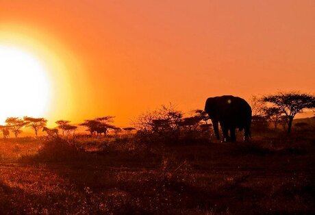 zonsopgang zuid-afrika