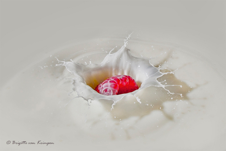 Fruit splash