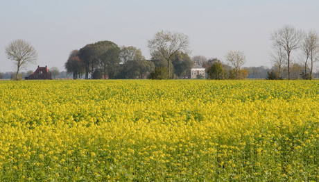 Boerderij op 't Hoogeland IV