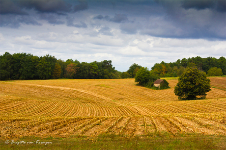 Dordogne in Yellow