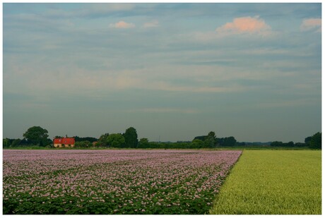 Zomerpolder-2