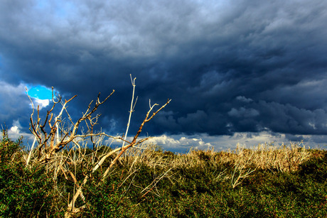 duinen