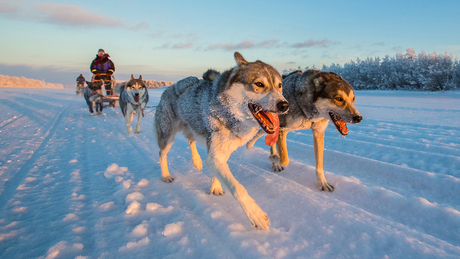 Winter in Finland