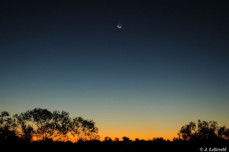 Desert Moonlight