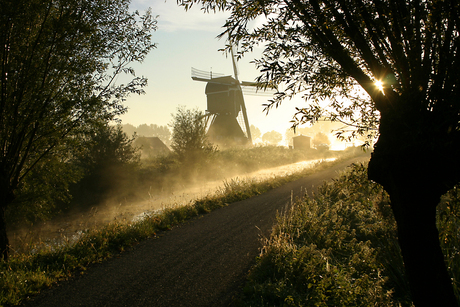 Molen in ochtendmist