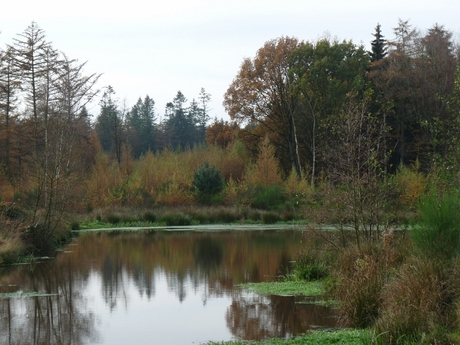 Drente in de herfst