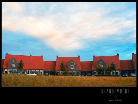 Brandevoort -0231-