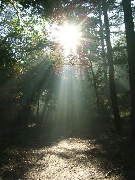 Zonnestralende herfstdag!