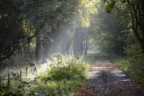 Weertebergen