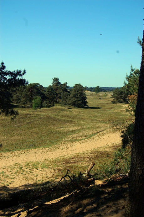 natuurgebied voor de herten.