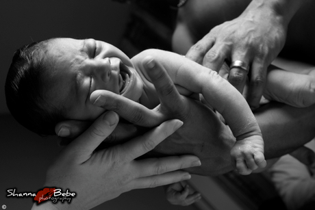 Zyanna by Shanna Bebe