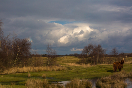 Zeepeduinen-31