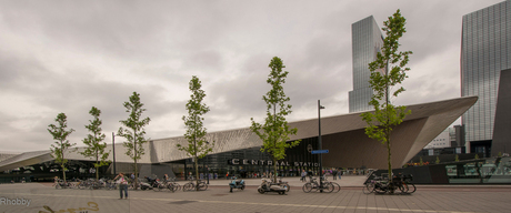 Het Nieuwe Rotterdam Centraal Station
