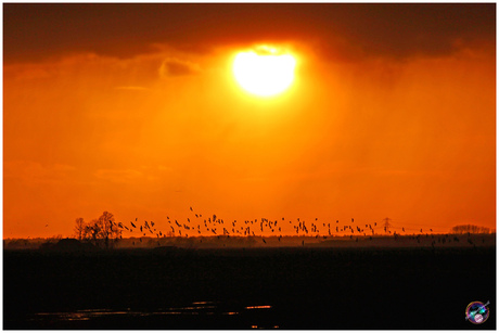 Druk aan de horizon ...