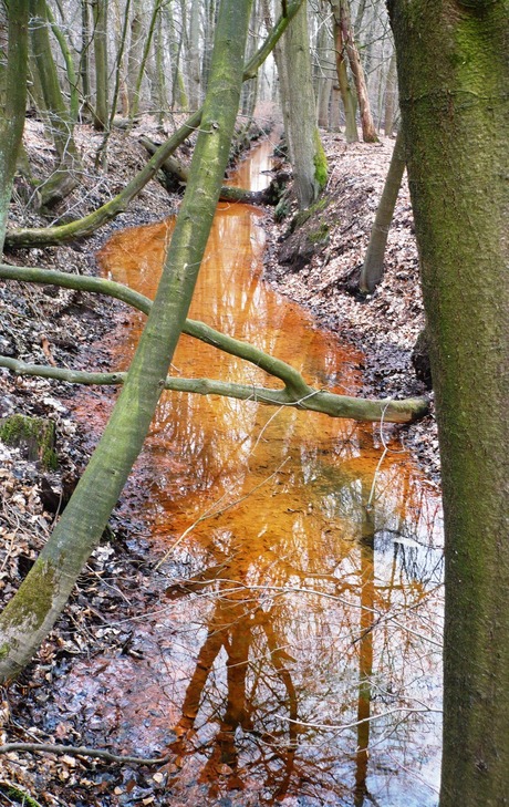 Oranje beek