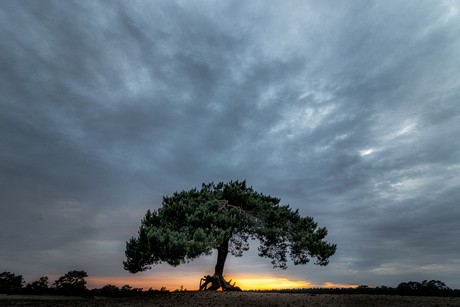 Stilte na de storm - Soesterduinen