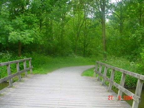 Bridge over water