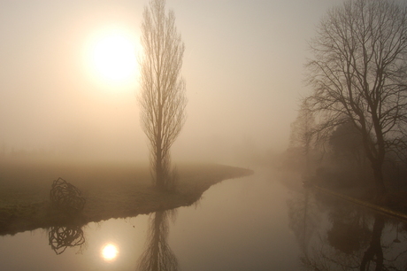 Misty Morning