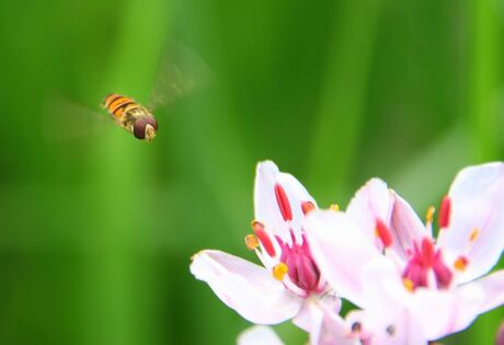 Dat is een mooi plekje...