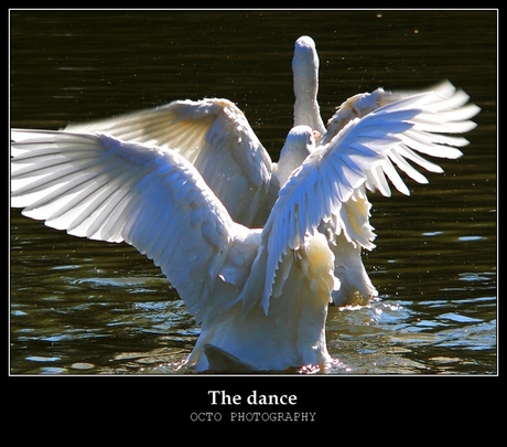 The dance