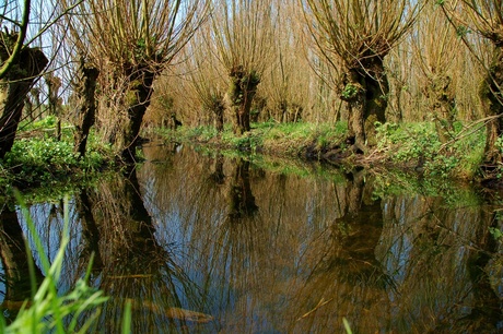 spiegeltje