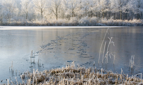 winter meertje