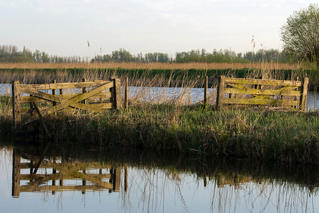 Kinderdijk