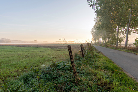 Ochtend in de herfst