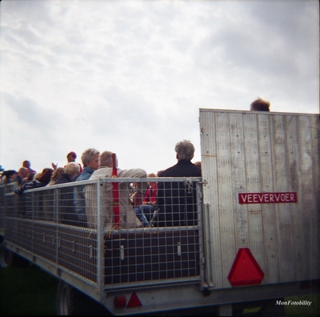 Er gaan vele makke schapen...