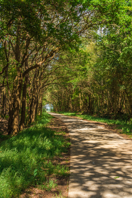 langs de weg