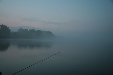 Hengel in de mist