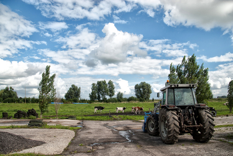 Dutch farming