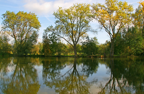 Reflections of Autumn 2