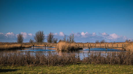 Mooi natuur