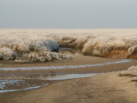 Mist en Rijp