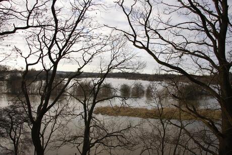 hoog water Renkum