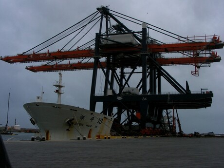 Zhen Hua 19