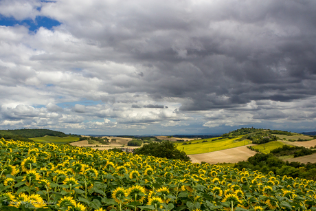 regenwolk