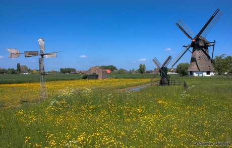 Molen