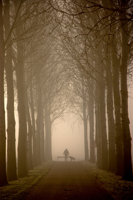 Wandelaar in de mist