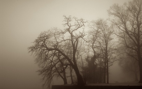 Kannonnetje in de mist