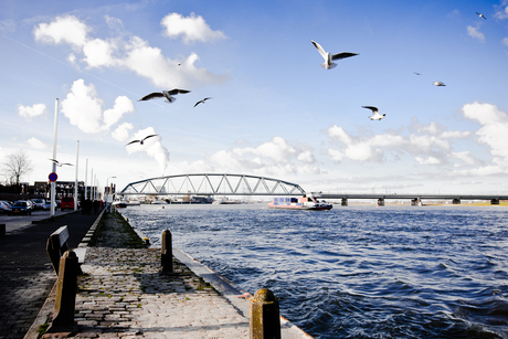 Waalkade - Nijmegen