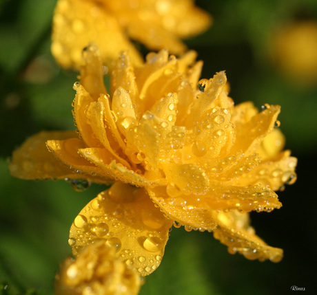 Na regen komt...................