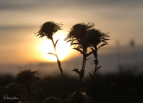 ondergaande zon