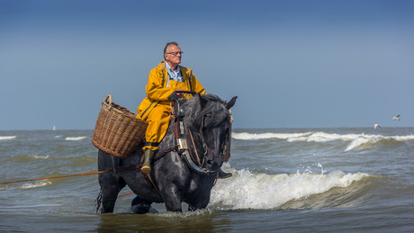 Garnaalvisser Oostduinkerke