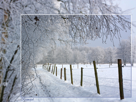 Winterbeeld