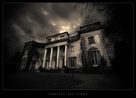 Chateau Aux Lion
