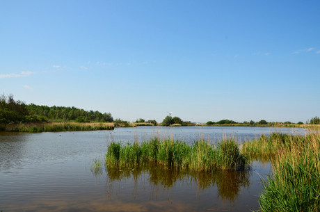 Lauwersmeer