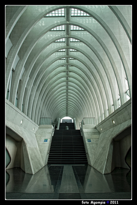Guillemins 11